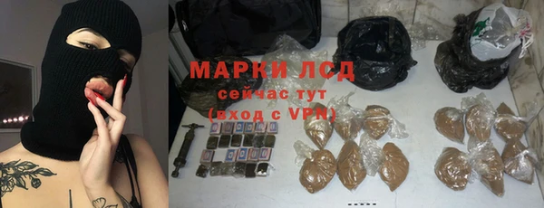 spice Аркадак