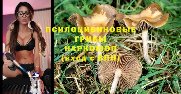 хмурый Алексеевка