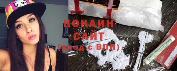 метадон Няндома