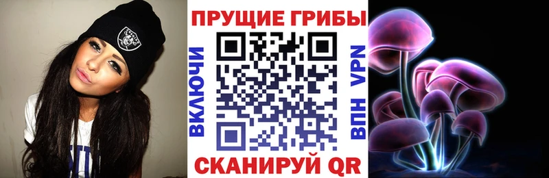 Псилоцибиновые грибы Psilocybine cubensis  кракен зеркало  Гремячинск 